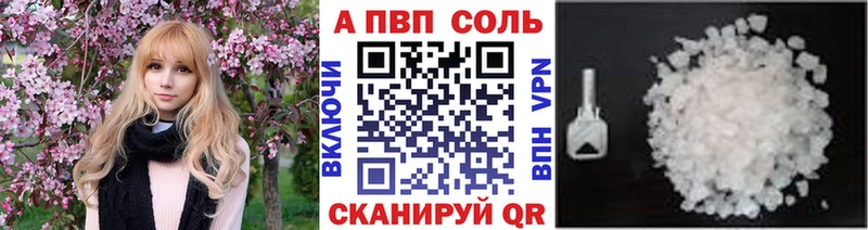 A PVP СК Волгореченск