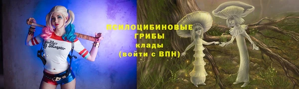 прущие крисы Белокуриха