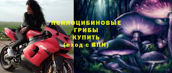прущие крисы Белокуриха