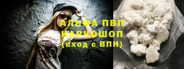 прущие крисы Белокуриха