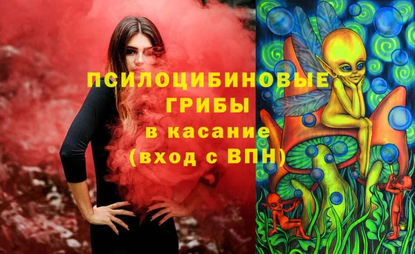 прущие крисы Белокуриха