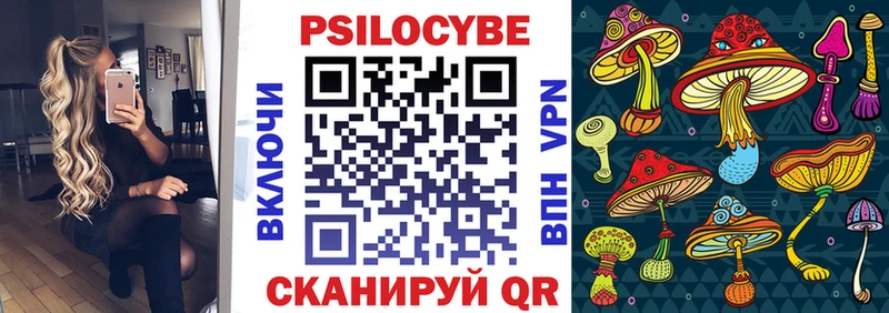 где купить   Волгореченск  Галлюциногенные грибы Psilocybine cubensis 